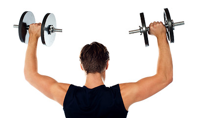 Image showing Rear view of a young male bodybuilder