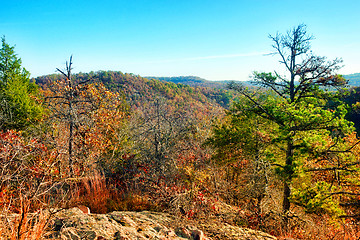 Image showing autumn fall forest