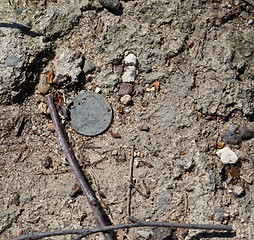 Image showing coin on the ground