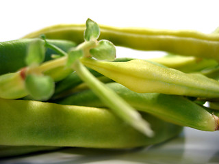 Image showing beans