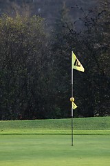Image showing golf flags