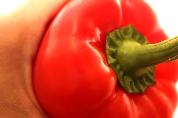 Image showing red pepper in hand