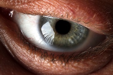Image showing eyeball
