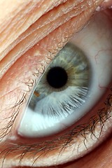 Image showing eyeball