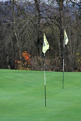 Image showing golf flags