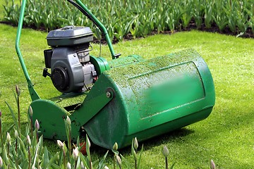 Image showing lawn mower in the green