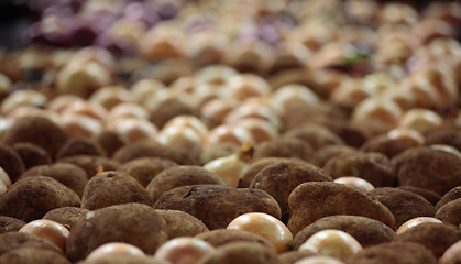 Image showing Potatoes