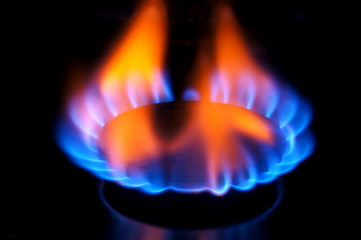 Image showing Gas burner flame