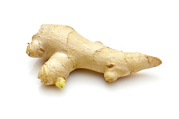 Image showing Ginger root isolated on white background