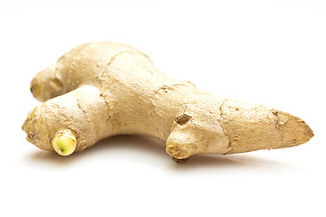 Image showing Ginger root isolated on white background 