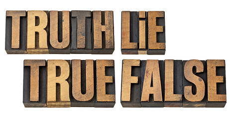 Image showing truth, lie, true and false in wood type