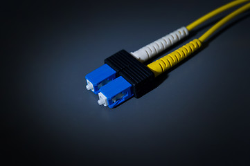 Image showing Fiber Optic Cables