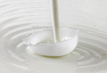 Image showing milk splashing