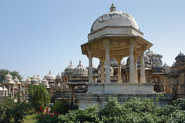 Image showing Ahar Cenotaphs