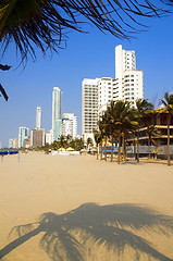 Image showing  high rise buildings Bocagrande beach  Cartagena Colombia South 