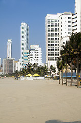 Image showing  high rise buildings Bocagrande beach  Cartagena Colombia South 