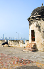 Image showing The Wall cannon view of Bocagrande Cartagena Colombia South Amer