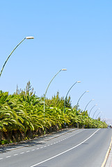 Image showing Fuerteventura