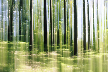 Image showing forest vertical motion blur