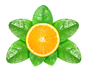 Image showing Orange fruit on green leaf with dew