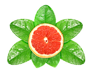 Image showing Grapefruit fruit on green leaf with dew