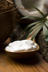 Image showing Coconut and coconut oil 