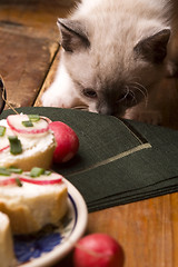 Image showing Adorable small kitten and breakfast