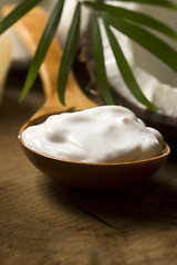 Image showing Coconut and coconut oil 