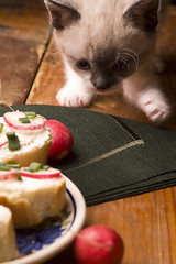 Image showing Adorable small kitten and breakfast