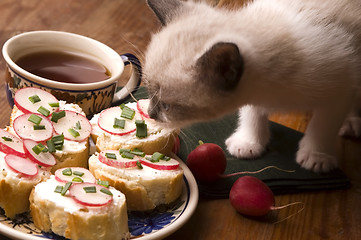 Image showing Adorable small kitten and breakfast