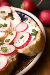 Image showing Sandwich with cheese, radish and chive - Healthy Eating 