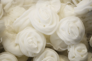 Image showing White Roses