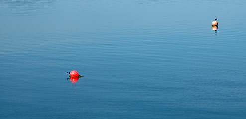 Image showing Two Buoys