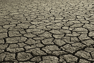 Image showing Dry Mud Field