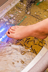 Image showing Fish spa pedicure