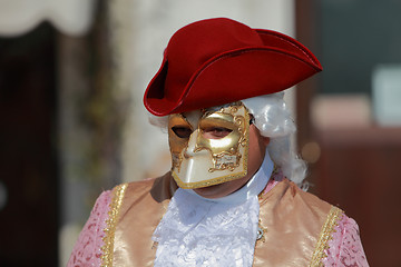 Image showing Man with mask