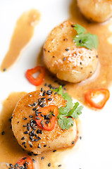 Image showing Scallop