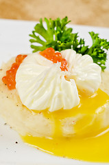 Image showing poached eggs