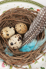 Image showing quail eggs