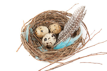 Image showing quail eggs