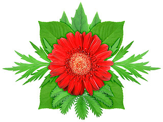 Image showing Red flower with green leaf