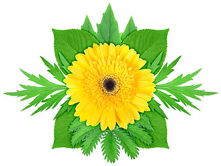 Image showing Yellow flower with green leaf