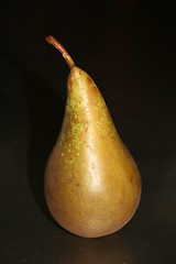 Image showing Conference pear