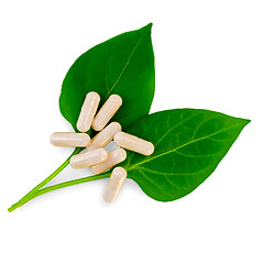 Image showing Capsules beige on two green leaves