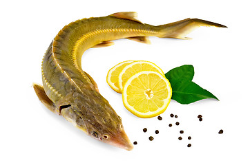 Image showing Fish starlet with lemon and pepper