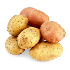 Image showing Potato pink and yellow