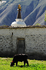 Image showing Landscape in Tibet