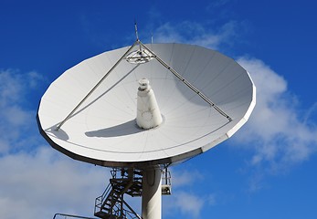 Image showing Satellite dish