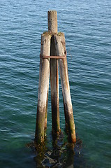 Image showing Pier pole