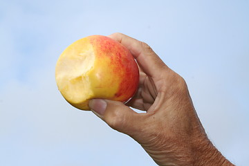 Image showing Very sweet Swedish apple